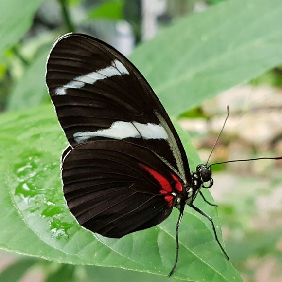 Meet your Posher, Maria - Picture 2 of 2